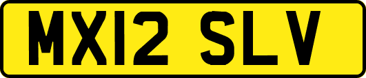 MX12SLV