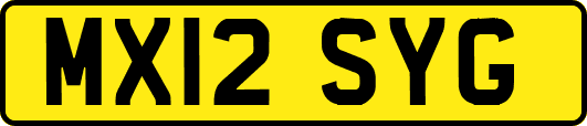 MX12SYG