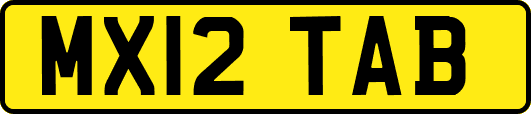 MX12TAB