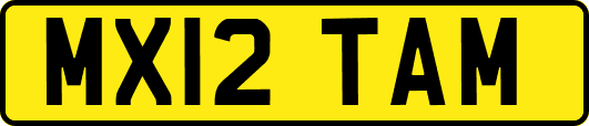 MX12TAM