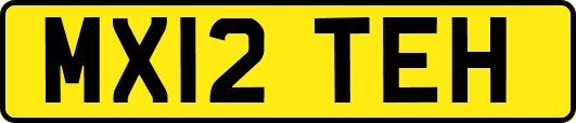 MX12TEH