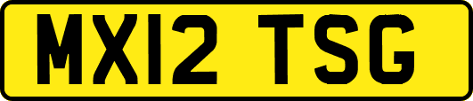 MX12TSG
