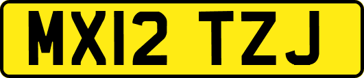 MX12TZJ