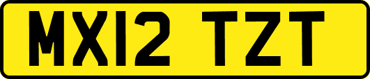 MX12TZT