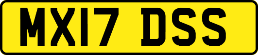 MX17DSS