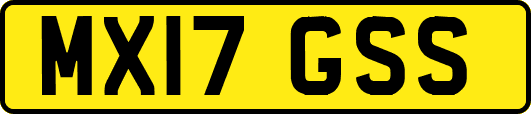 MX17GSS