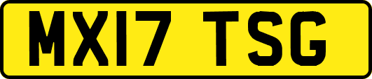MX17TSG