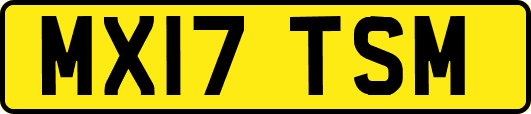 MX17TSM