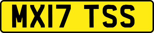 MX17TSS