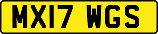 MX17WGS