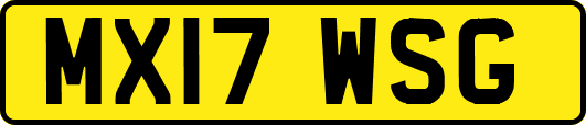 MX17WSG