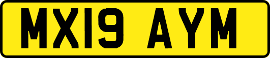 MX19AYM