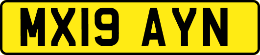 MX19AYN