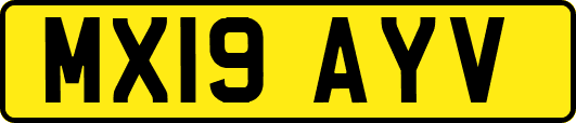 MX19AYV
