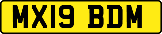 MX19BDM