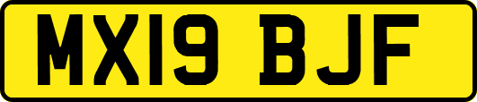 MX19BJF
