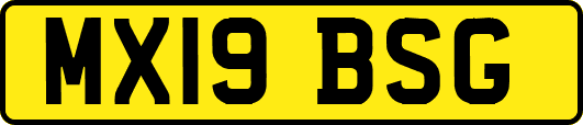 MX19BSG
