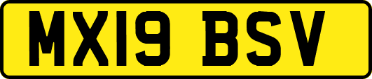 MX19BSV