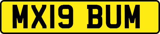 MX19BUM