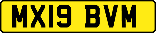 MX19BVM