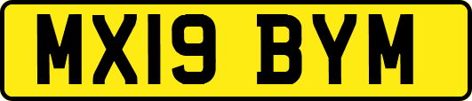 MX19BYM
