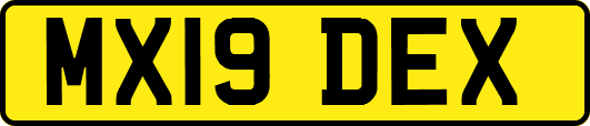 MX19DEX