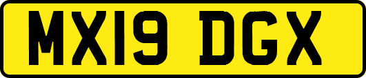 MX19DGX