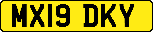 MX19DKY
