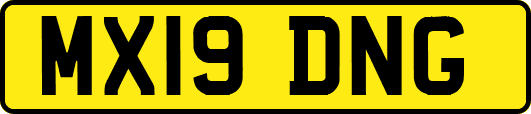 MX19DNG