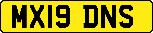 MX19DNS