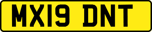 MX19DNT