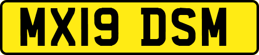 MX19DSM