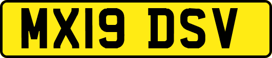 MX19DSV