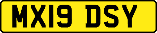 MX19DSY