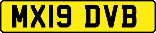 MX19DVB