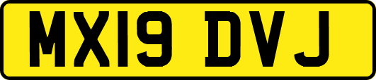 MX19DVJ