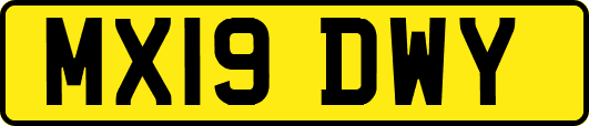 MX19DWY