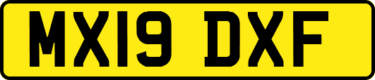 MX19DXF
