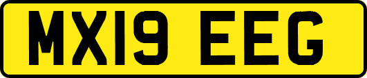 MX19EEG