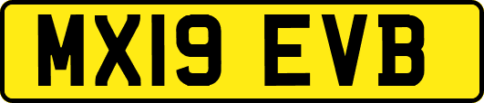 MX19EVB