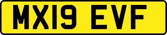 MX19EVF