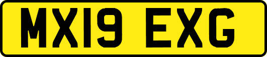 MX19EXG