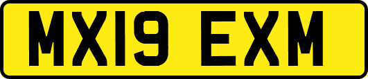 MX19EXM
