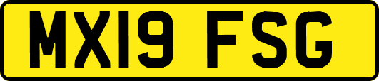 MX19FSG