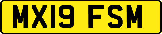 MX19FSM