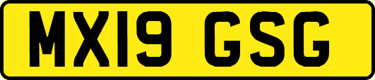 MX19GSG