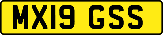 MX19GSS