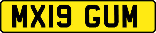 MX19GUM