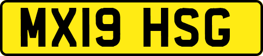 MX19HSG