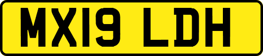 MX19LDH